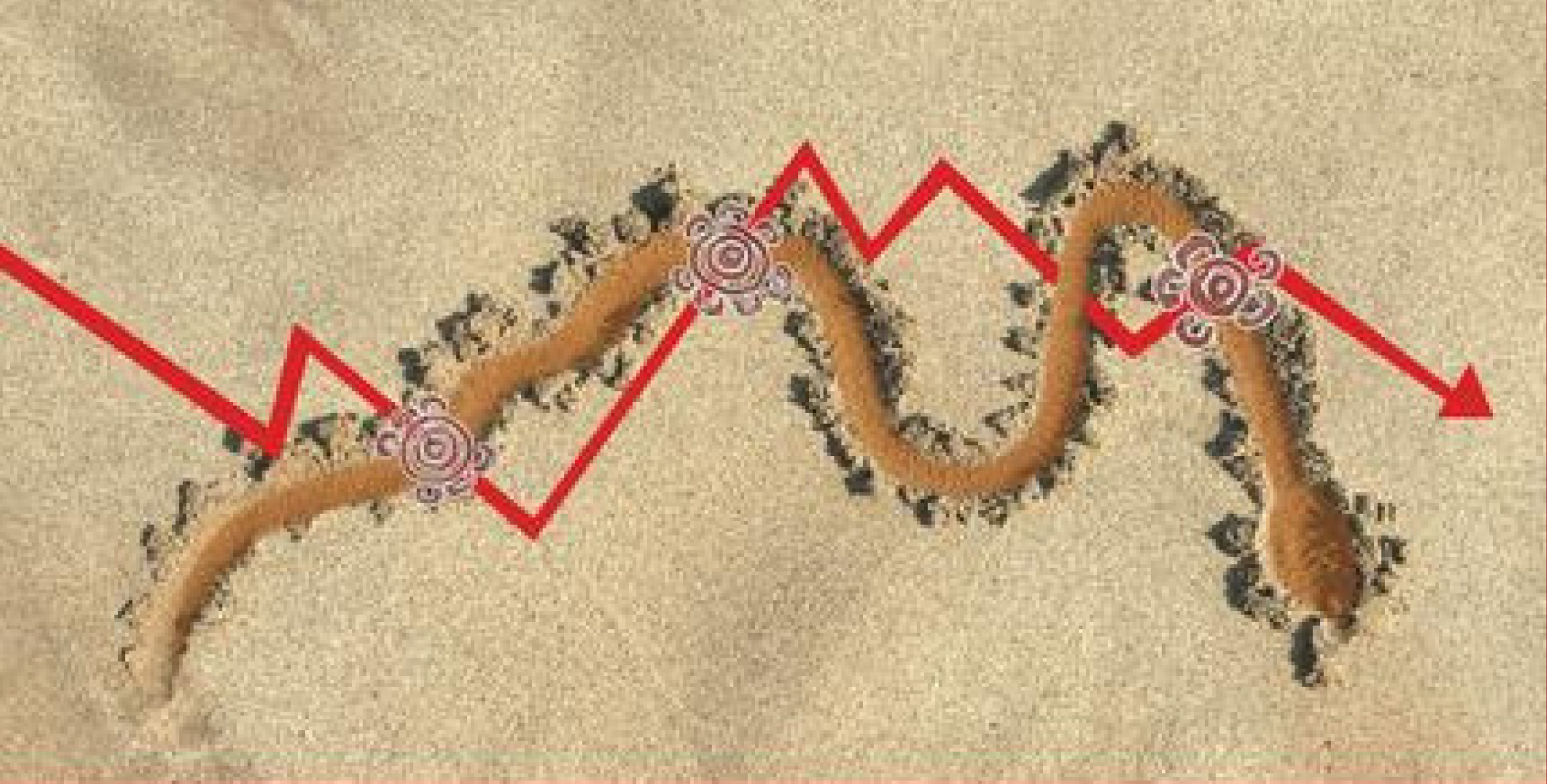 Sustainable Land Sector Development in Northern Australia 