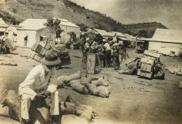 Afghan cameleers and other men standing with freight and loaded camels, seated. Tin buildings and range in immediate background. 